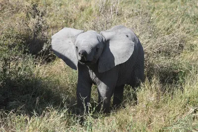 DSC_3867 (Large).JPG